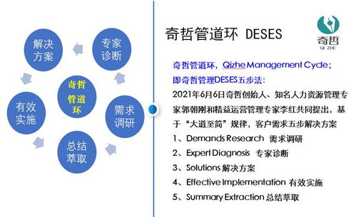 上海奇哲咨询 企业管理咨询的价值与核心作用解析