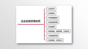 企业合规管理实务干货ppt